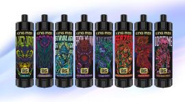 BS KINGMAX 10000 Puffs